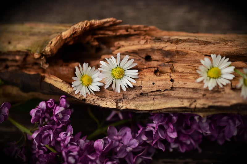 Salvaged Wood Decor